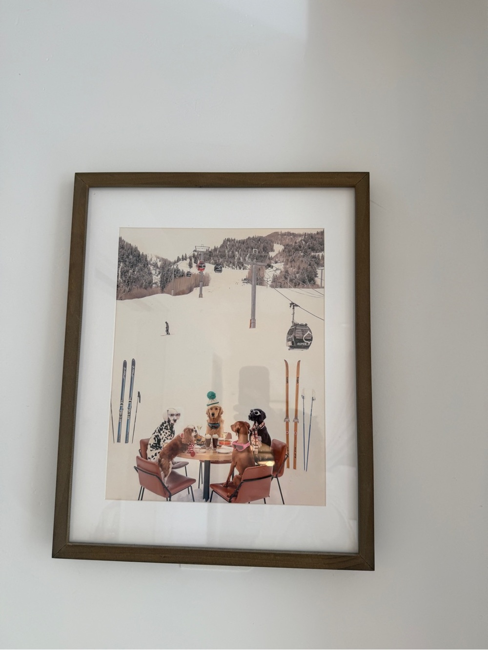 Framed Winter Ski Dogs Print in Brown Frame Gray Malin